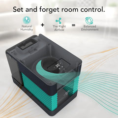 EV3 Evaporative Whole Room Humidifier