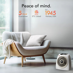 AVH10 Whole Room Heater with Auto Climate (2025)