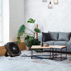 Model 810 Whole Room Box Fan